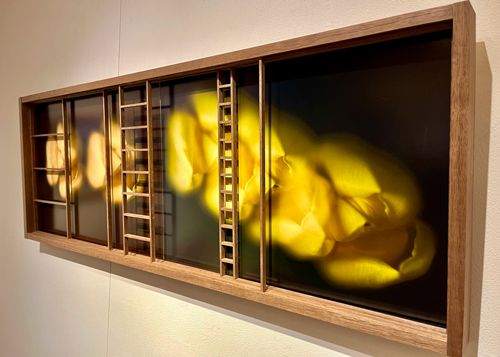 大町憲治作品展 －写真と工芸の関係性－